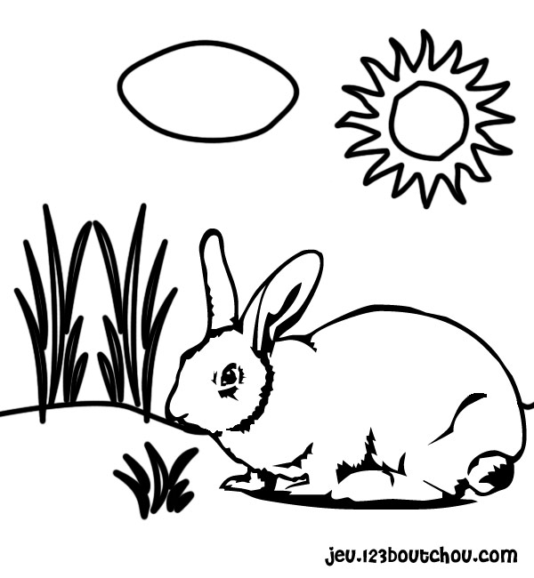 Coloring page: Rabbit (Animals) #9584 - Free Printable Coloring Pages