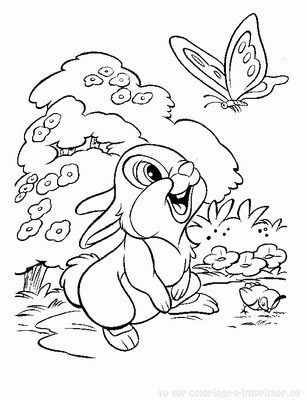Coloring page: Rabbit (Animals) #9592 - Free Printable Coloring Pages