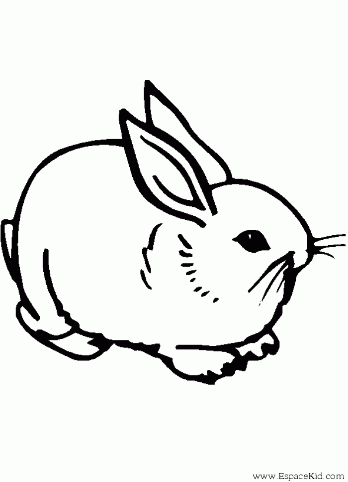 Coloring page: Rabbit (Animals) #9610 - Free Printable Coloring Pages