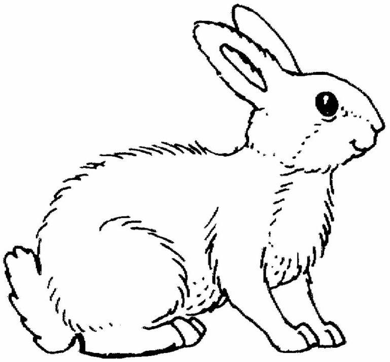 Coloring page: Rabbit (Animals) #9689 - Free Printable Coloring Pages