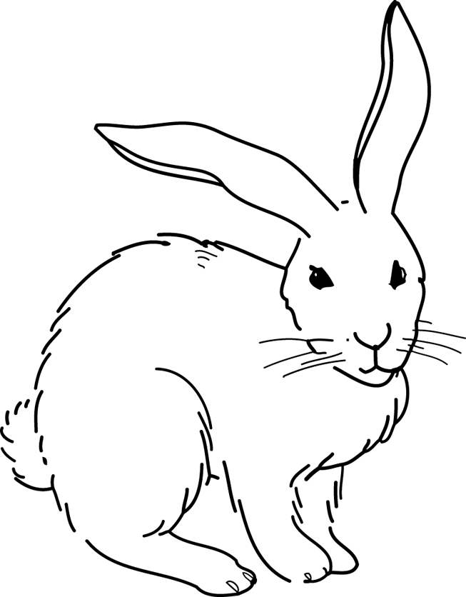 Coloring page: Rabbit (Animals) #9694 - Free Printable Coloring Pages