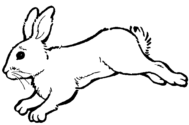 Coloring page: Rabbit (Animals) #9702 - Free Printable Coloring Pages