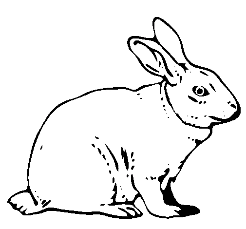 Free printable Rabbit and Hare coloring page #10077 from Animals collection Free printable Rabbit and Hare coloring page #10077 from Animals collection
