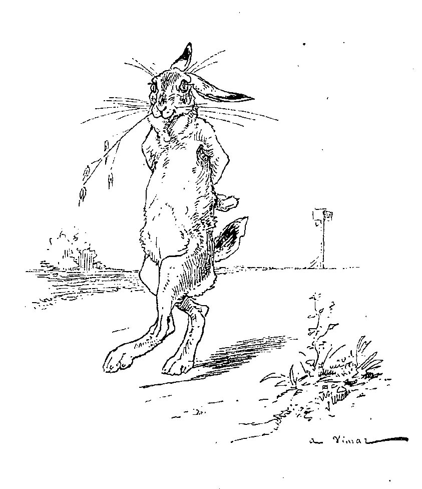 Free printable Rabbit and Hare coloring page #10089 from Animals collection Free printable Rabbit and Hare coloring page #10089 from Animals collection