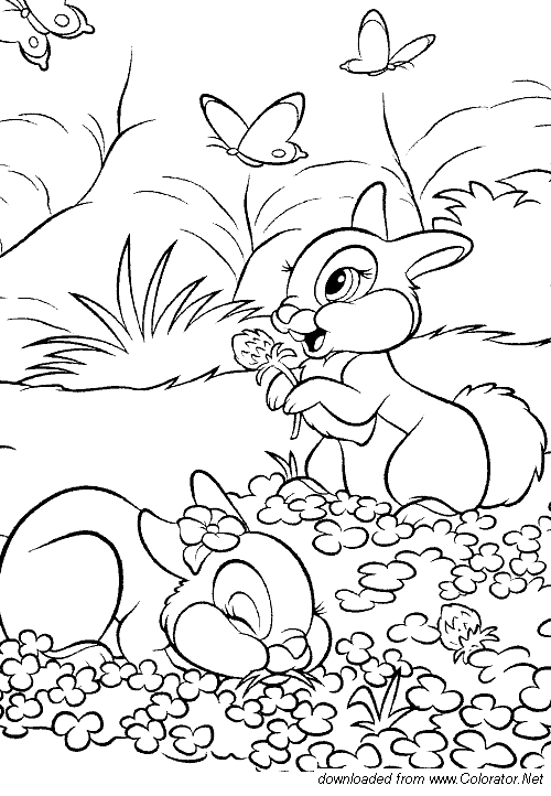 Free printable Rabbit and Hare coloring page #10125 from Animals collection