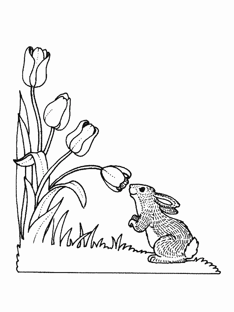 Free printable Rabbit and Hare coloring page #10138 from Animals collection