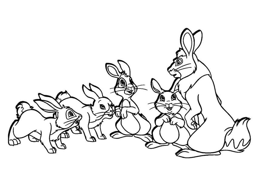 Free printable Rabbit and Hare coloring page #10226 from Animals collection Free printable Rabbit and Hare coloring page #10226 from Animals collection