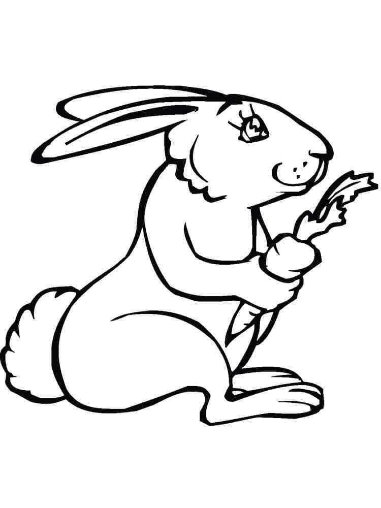 Free printable Rabbit and Hare coloring page #209018 from Animals collection
