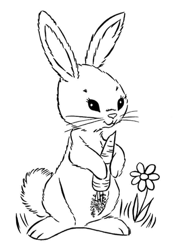 Free printable Rabbit and Hare coloring page #209022 from Animals collection Free printable Rabbit and Hare coloring page #209022 from Animals collection