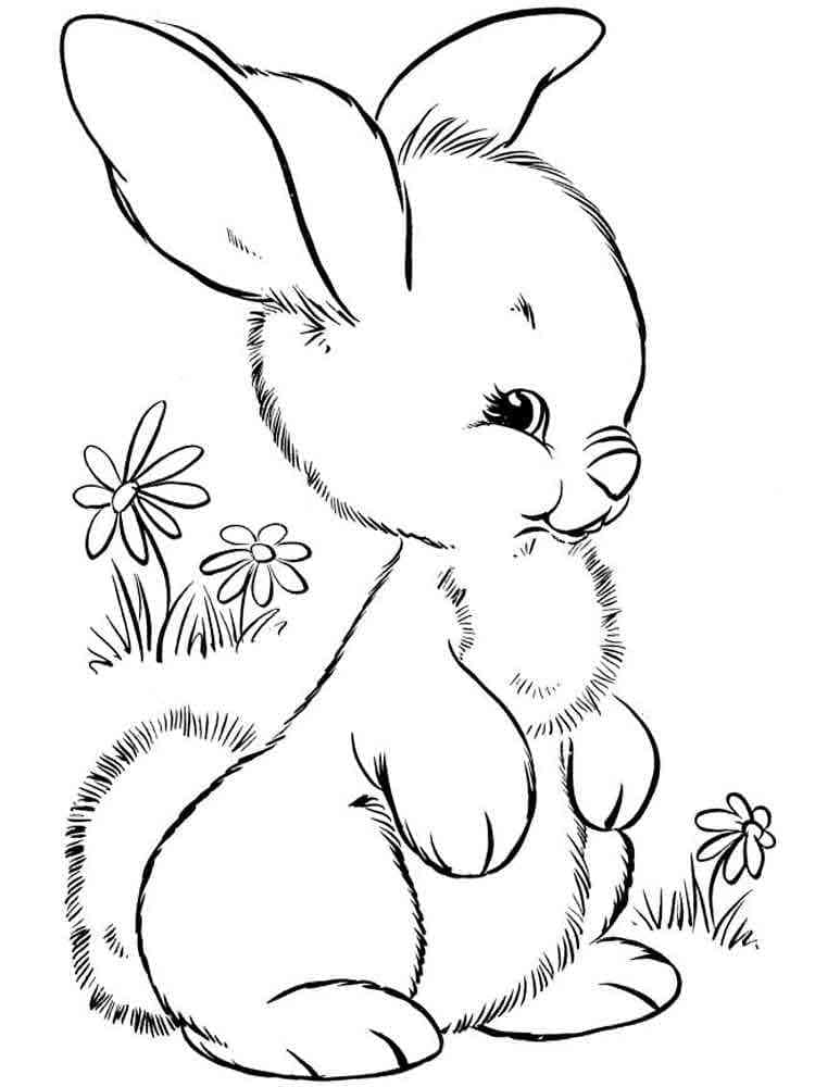 Free printable Rabbit and Hare coloring page #209023 from Animals collection