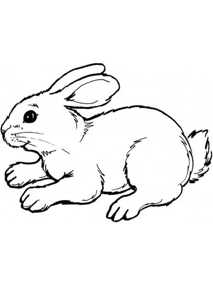 Free printable Rabbit and Hare coloring page #209032 from Animals collection