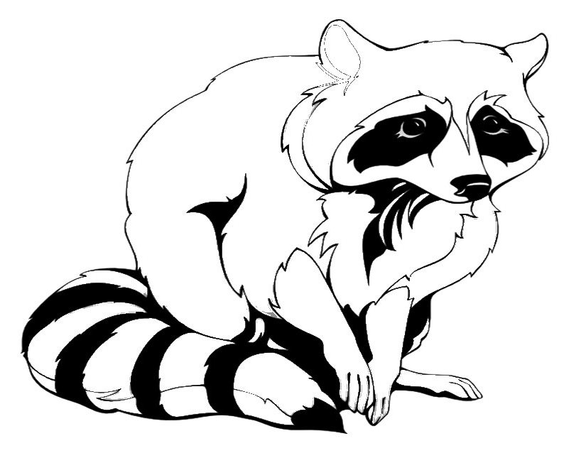 Raccoon (Animals) Printable coloring pages