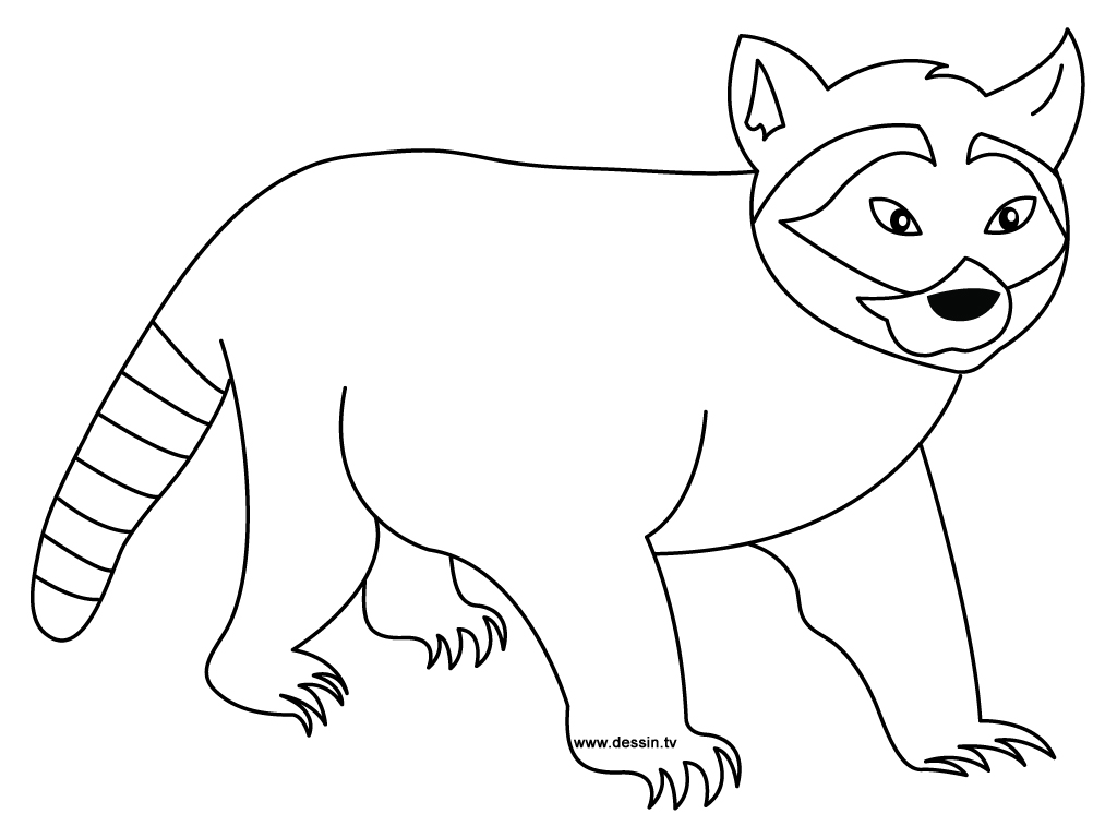 Coloring page: Raccoon (Animals) #19993 - Free Printable Coloring Pages