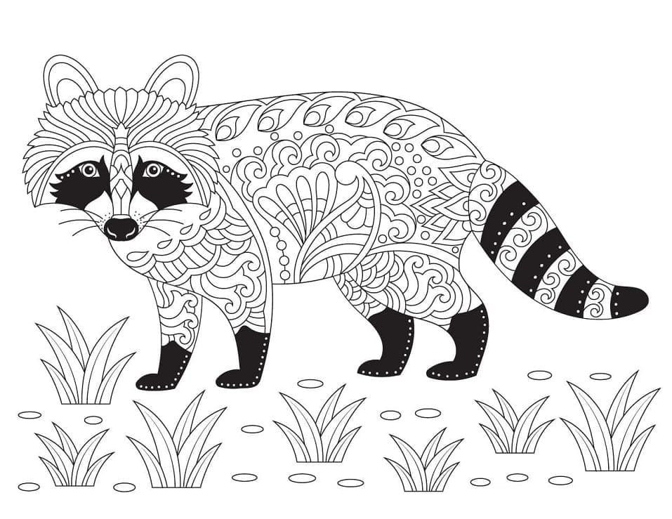 Free printable Raccoon coloring page #208540 from Animals collection