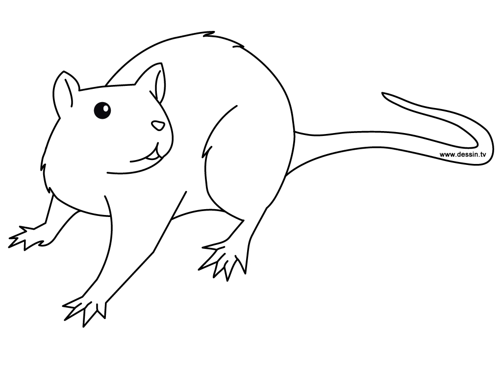 Coloring page: Rat (Animals) #15167 - Free Printable Coloring Pages