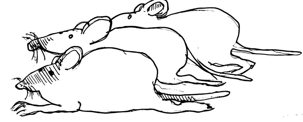 Coloring page: Rat (Animals) #15168 - Free Printable Coloring Pages