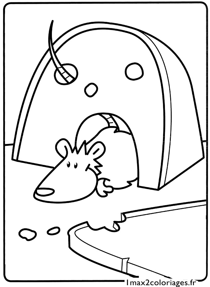 Coloring page: Rat (Animals) #15184 - Free Printable Coloring Pages