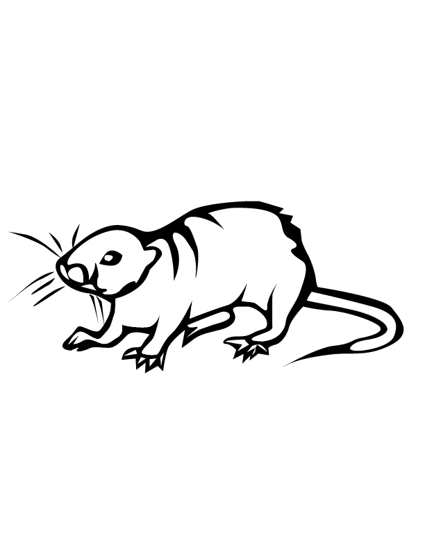 Coloring page: Rat (Animals) #15200 - Free Printable Coloring Pages
