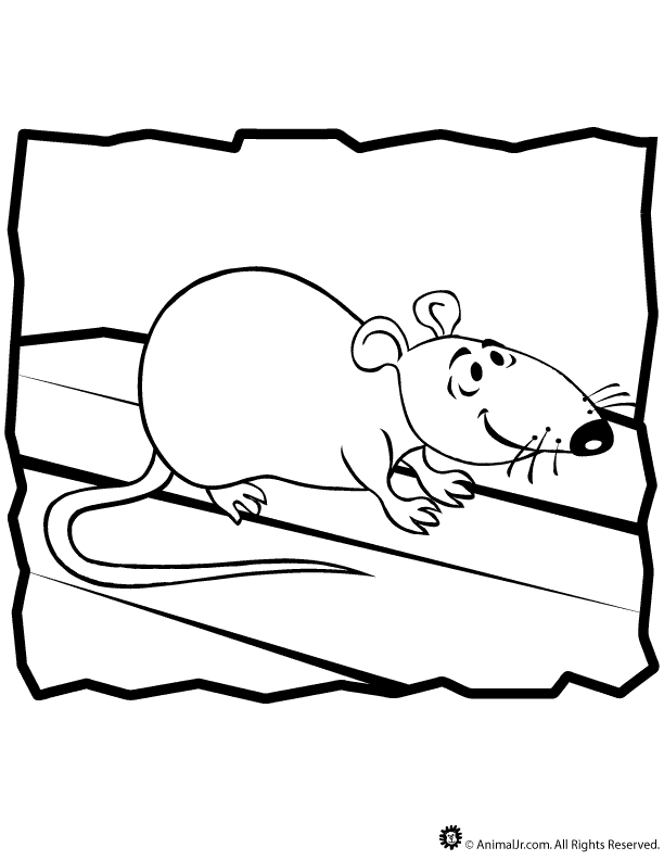 Coloring page: Rat (Animals) #15202 - Free Printable Coloring Pages