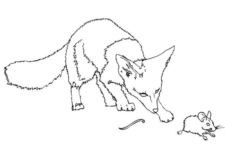 Coloring page: Rat (Animals) #15213 - Free Printable Coloring Pages