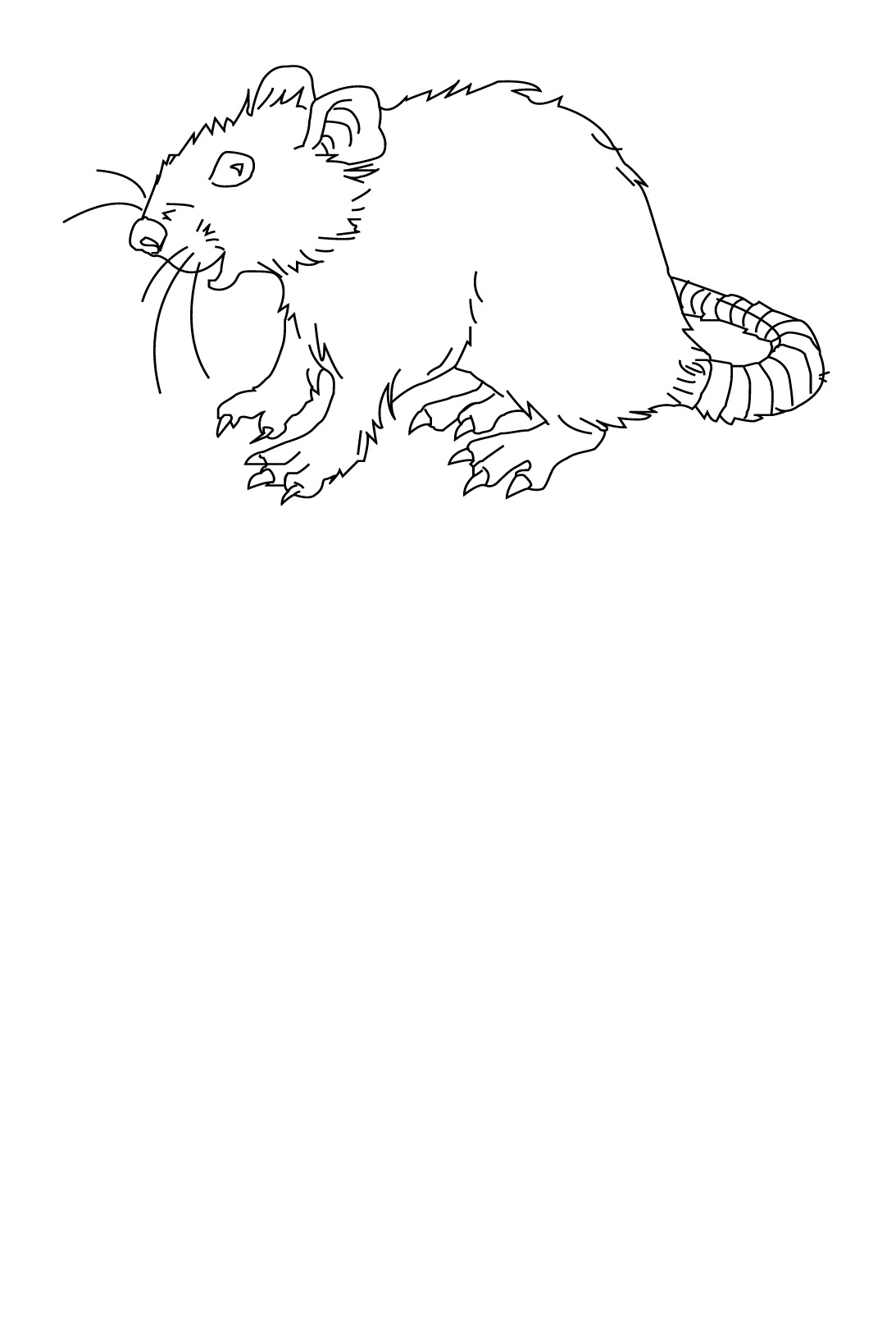 Coloring page: Rat (Animals) #15215 - Free Printable Coloring Pages