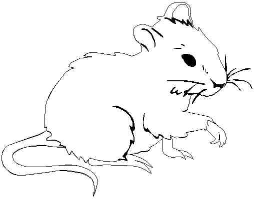 Coloring page: Rat (Animals) #15249 - Free Printable Coloring Pages