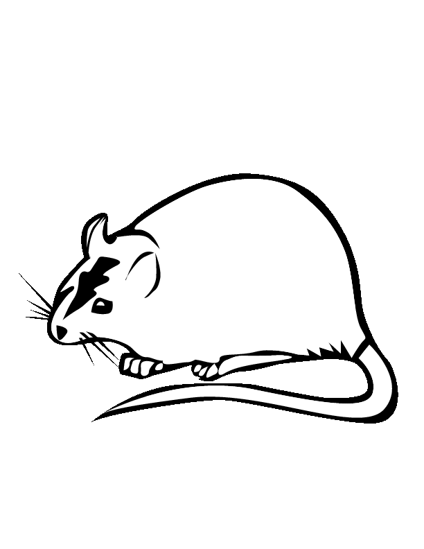 Coloring page: Rat (Animals) #15255 - Free Printable Coloring Pages