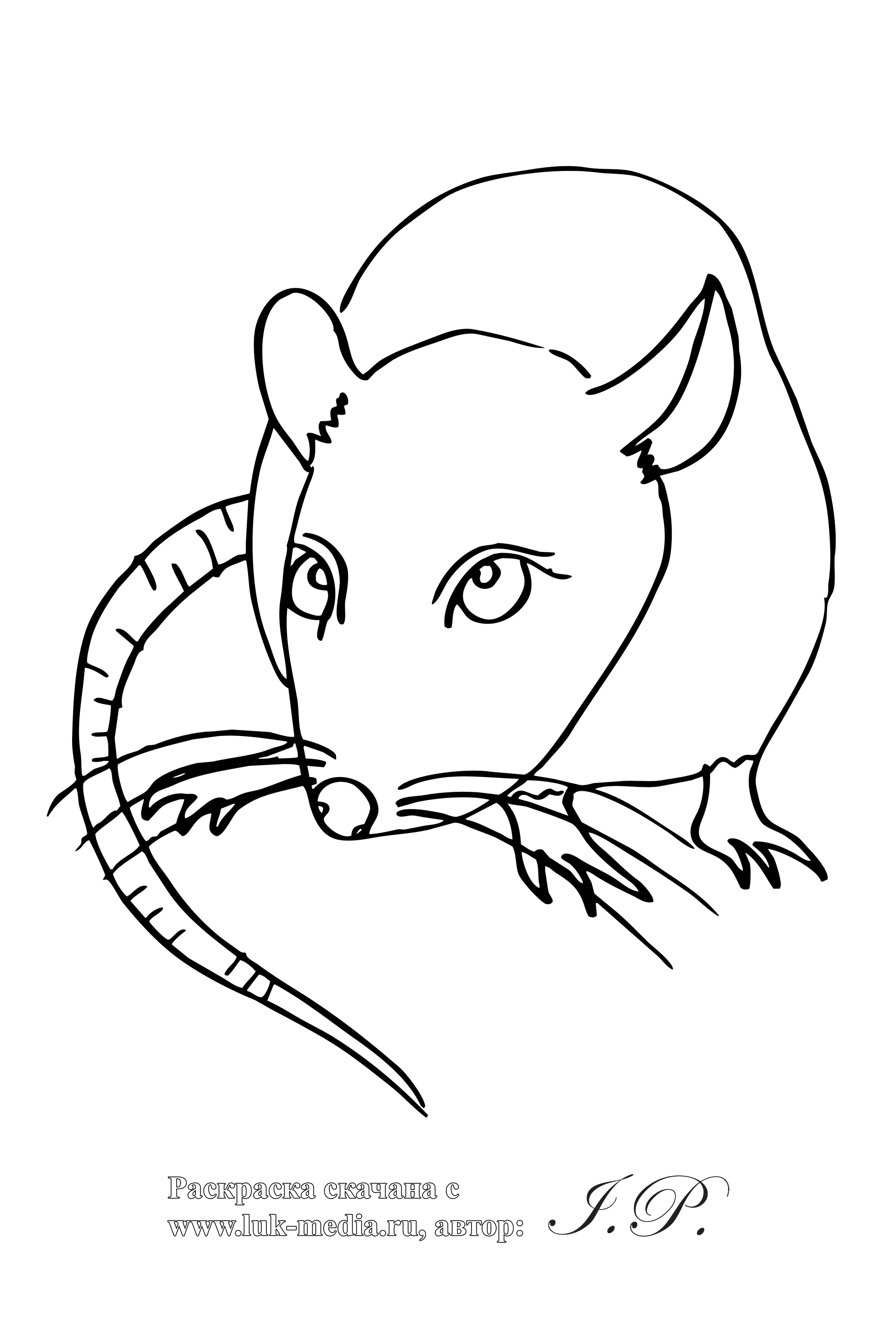 Coloring page: Rat (Animals) #15264 - Free Printable Coloring Pages
