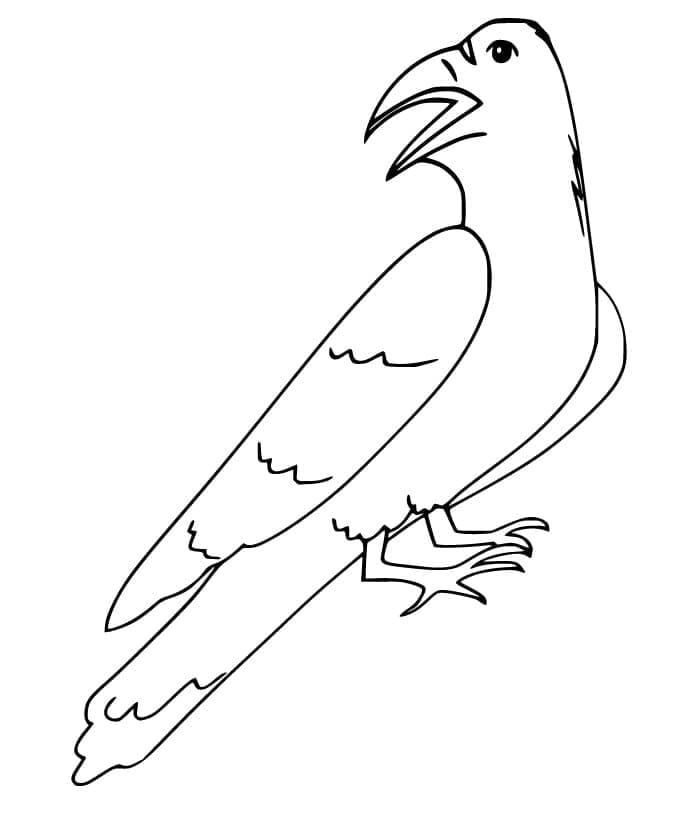Free printable Raven coloring page #209005 from Animals collection Free printable Raven coloring page #209005 from Animals collection