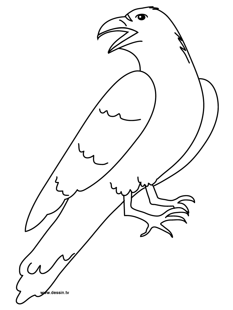 Coloring page: Raven (Animals) #4289 - Free Printable Coloring Pages