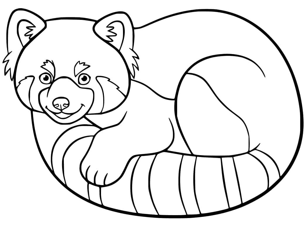 Free printable Red Panda coloring page #212060 from Animals collection