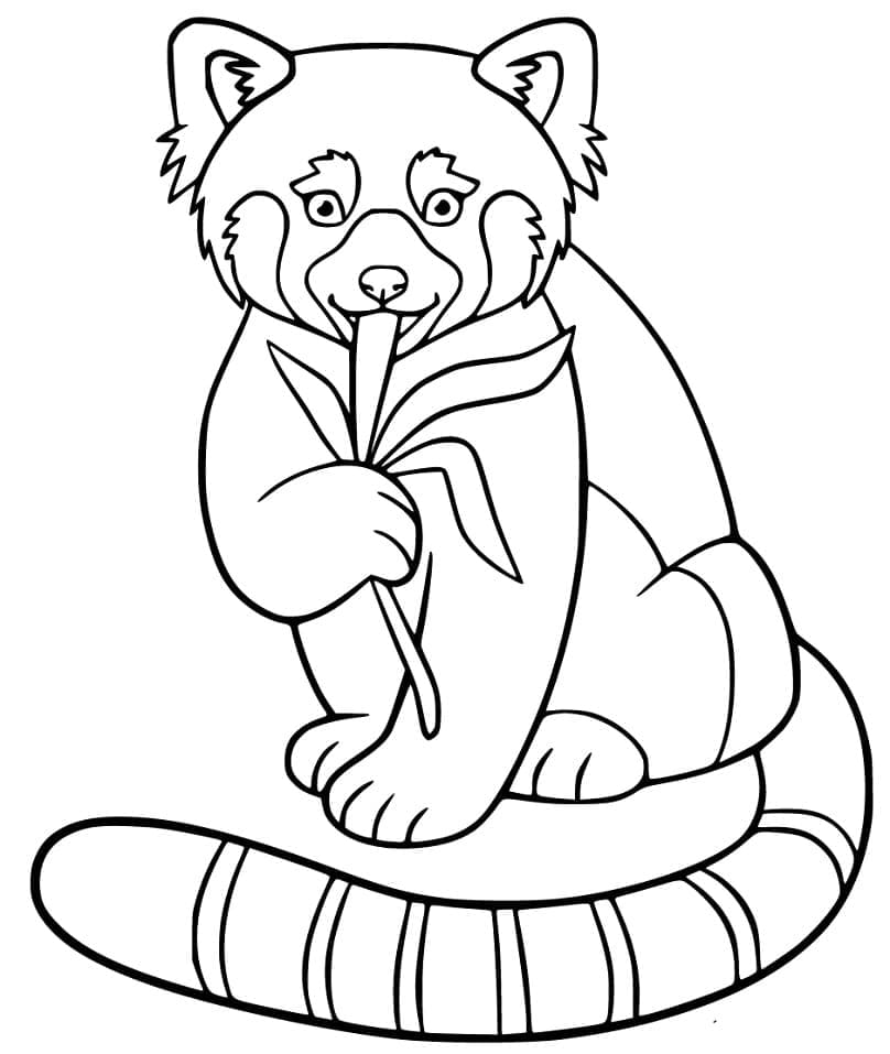 Free printable Red Panda coloring page #212066 from Animals collection