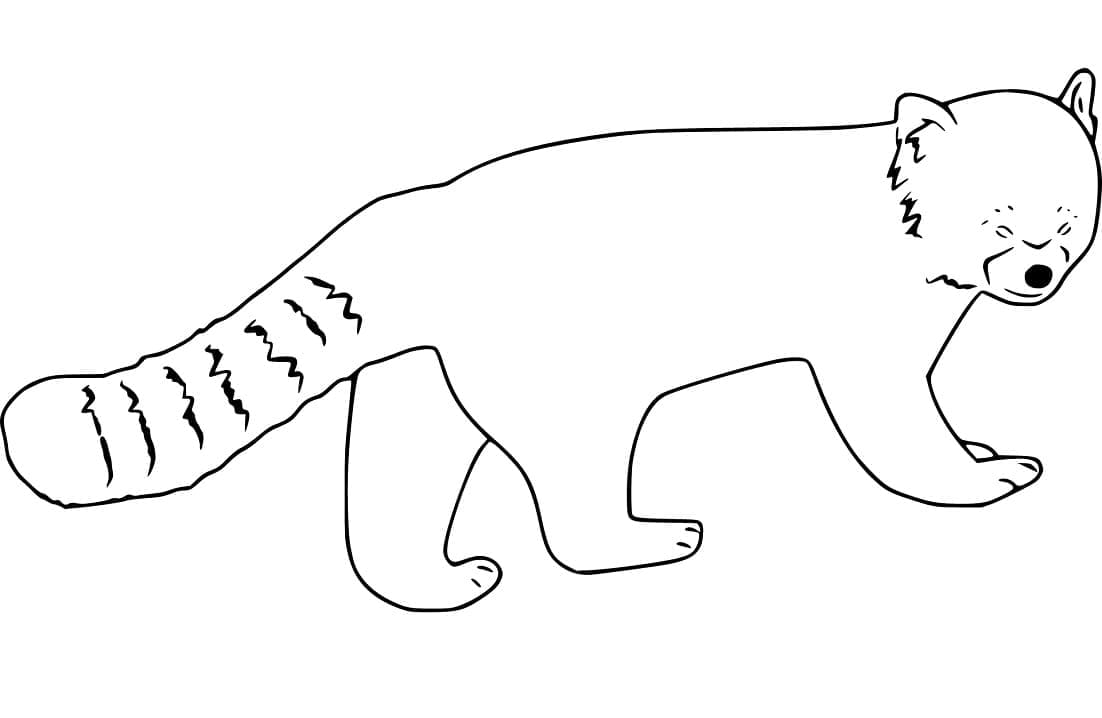 Free printable Red Panda coloring page #212068 from Animals collection