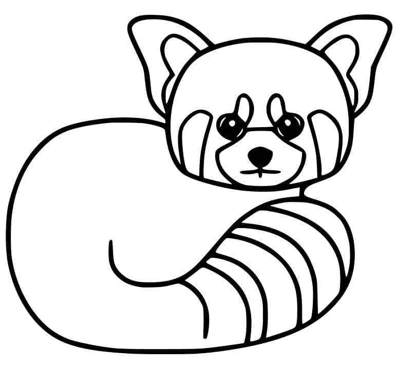Free printable Red Panda coloring page #212074 from Animals collection