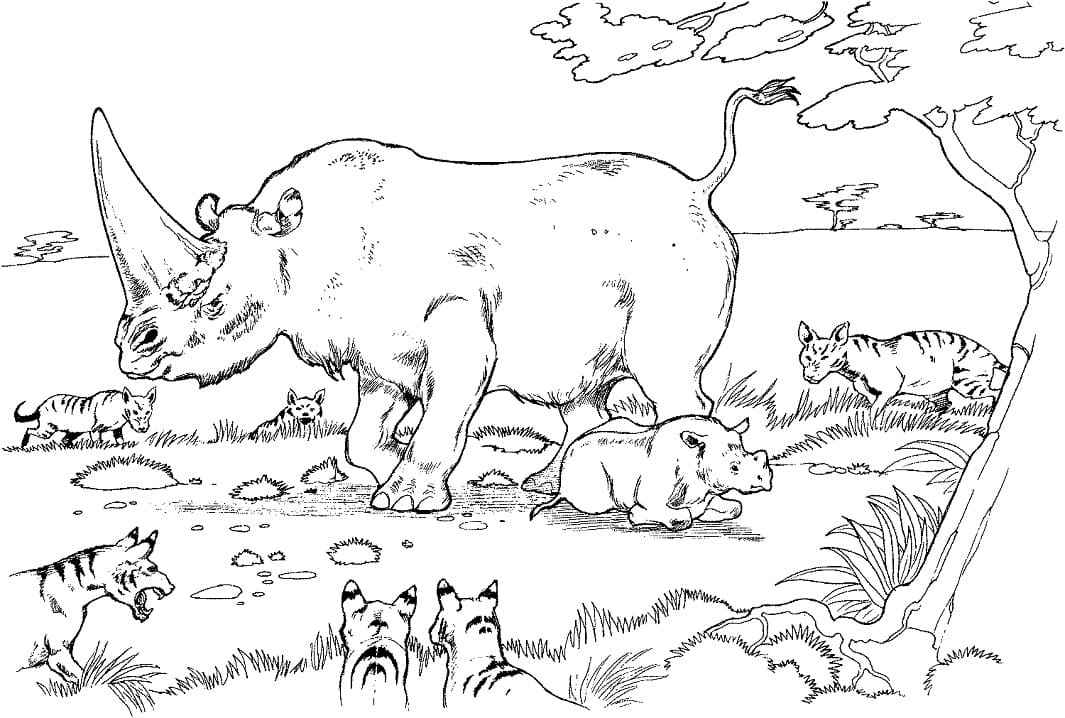 Free printable Rhinoceros coloring page #206660 from Animals collection