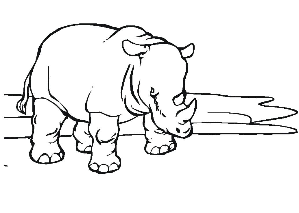 Coloring page: Rhinoceros (Animals) #206664 - Free Printable Coloring Pages