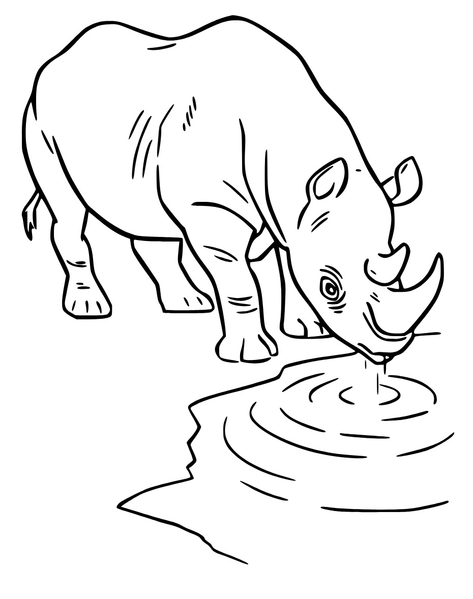 Free printable Rhinoceros coloring page #206673 from Animals collection