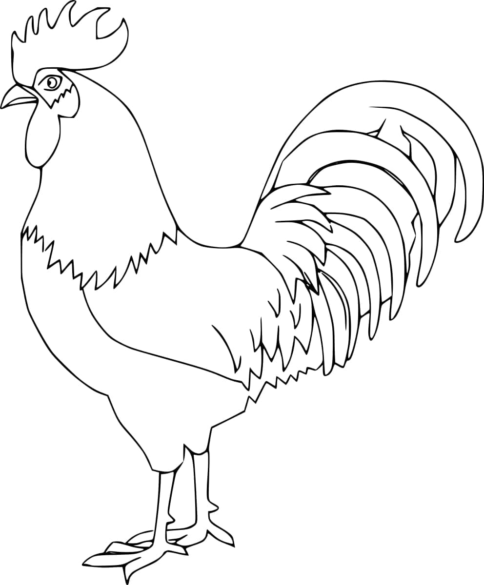 Free printable Rooster coloring page #207129 from Animals collection
