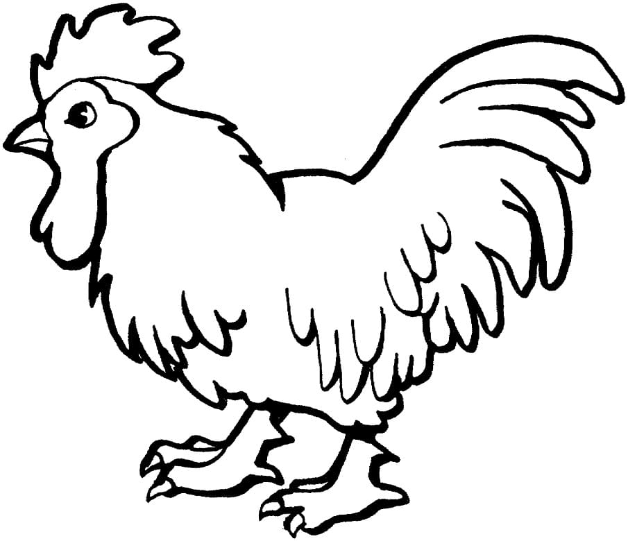 Free printable Rooster coloring page #207140 from Animals collection