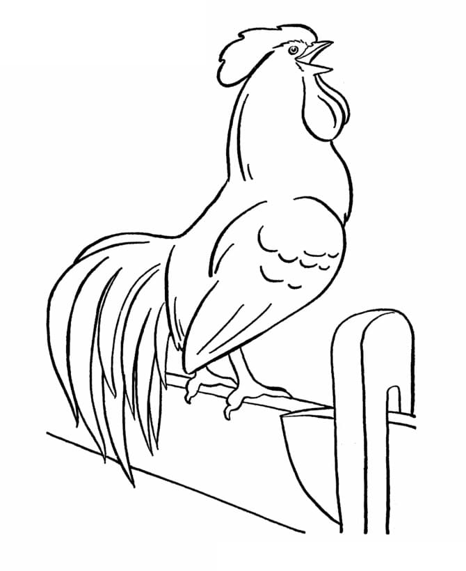 Free printable Rooster coloring page #207144 from Animals collection