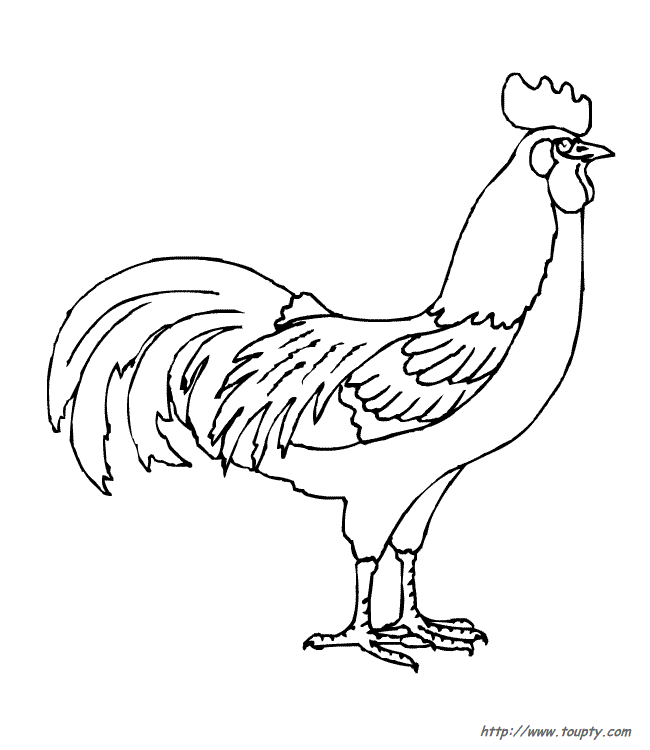 Coloring page: Rooster (Animals) #4088 - Free Printable Coloring Pages