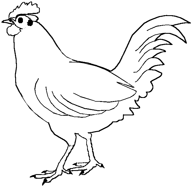 Coloring page: Rooster (Animals) #4089 - Free Printable Coloring Pages