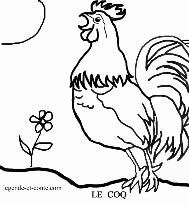 Coloring page: Rooster (Animals) #4091 - Free Printable Coloring Pages