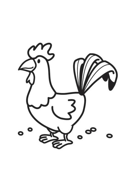 Coloring page: Rooster (Animals) #4118 - Free Printable Coloring Pages