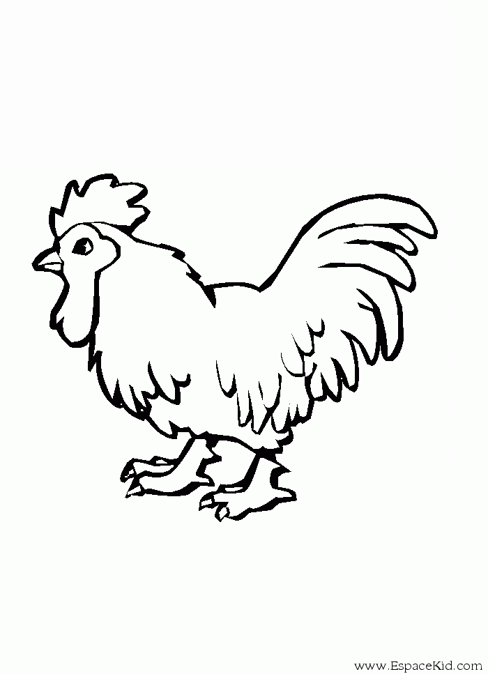 Coloring page: Rooster (Animals) #4124 - Free Printable Coloring Pages