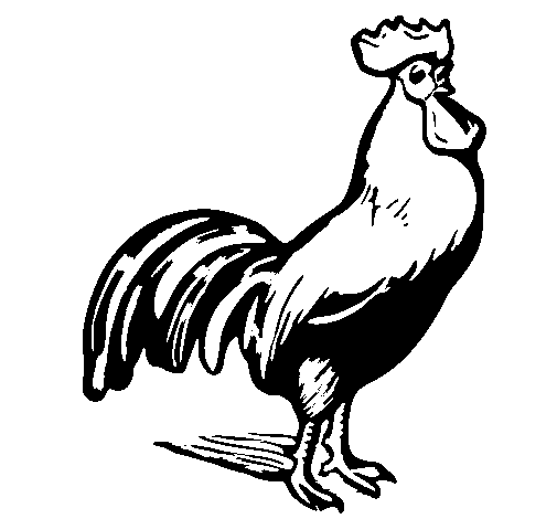 Coloring page: Rooster (Animals) #4143 - Free Printable Coloring Pages