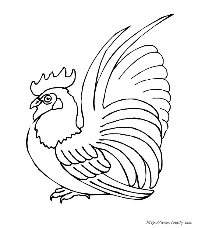 Coloring page: Rooster (Animals) #4159 - Free Printable Coloring Pages