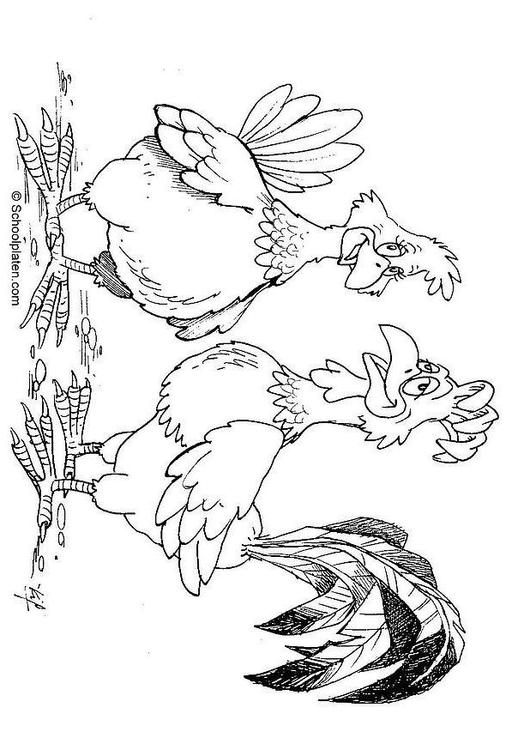 Coloring page: Rooster (Animals) #4171 - Free Printable Coloring Pages