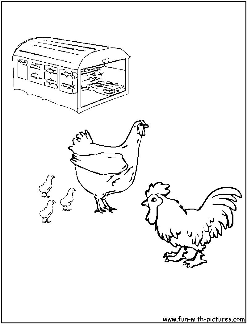 Coloring page: Rooster (Animals) #4186 - Free Printable Coloring Pages