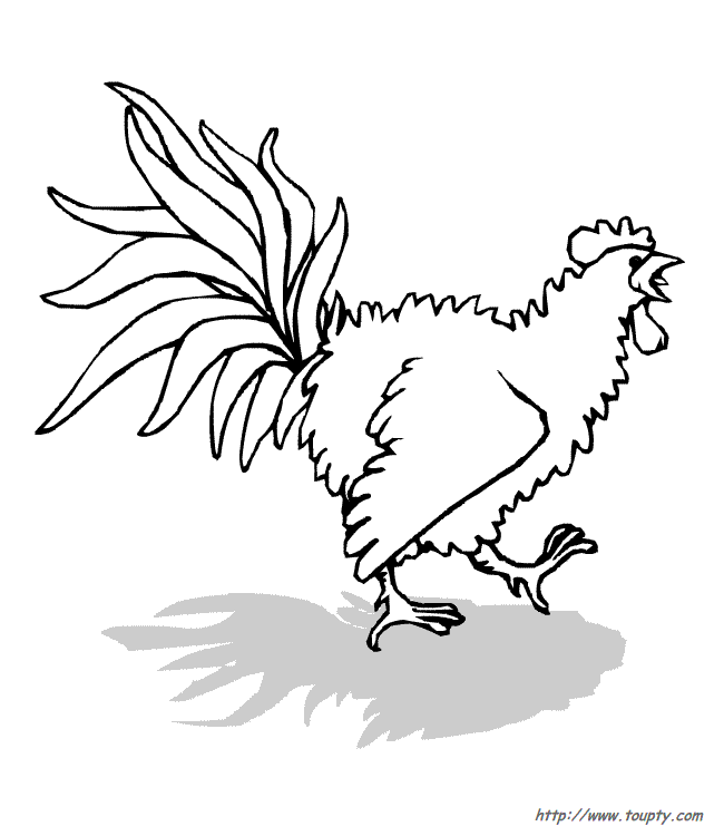 Coloring page: Rooster (Animals) #4204 - Free Printable Coloring Pages